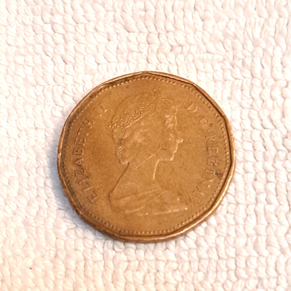 Rare 1989 Canadian Dollar Coin